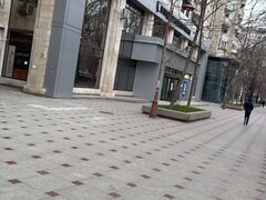 Bulevardul Unirii, Zepter